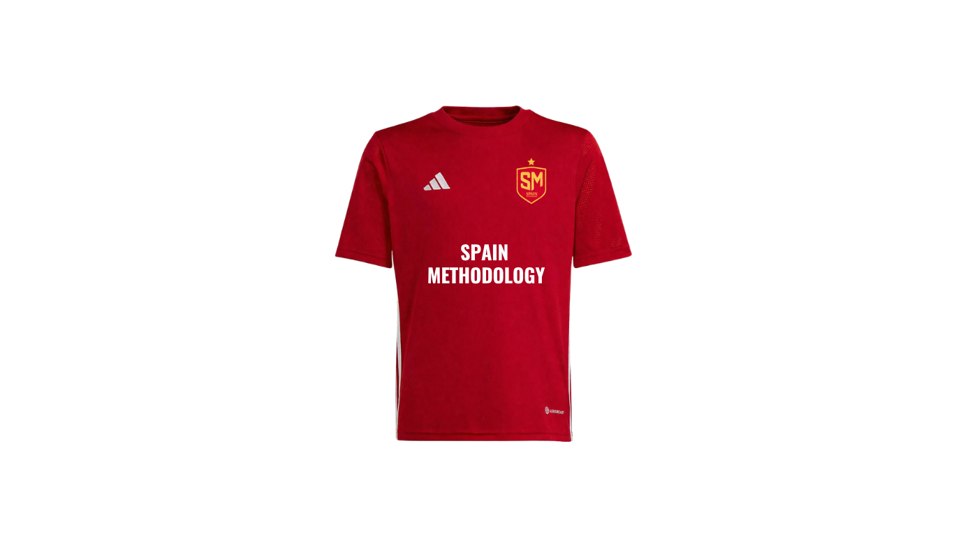 SPAIN METHODOLOGY (1)